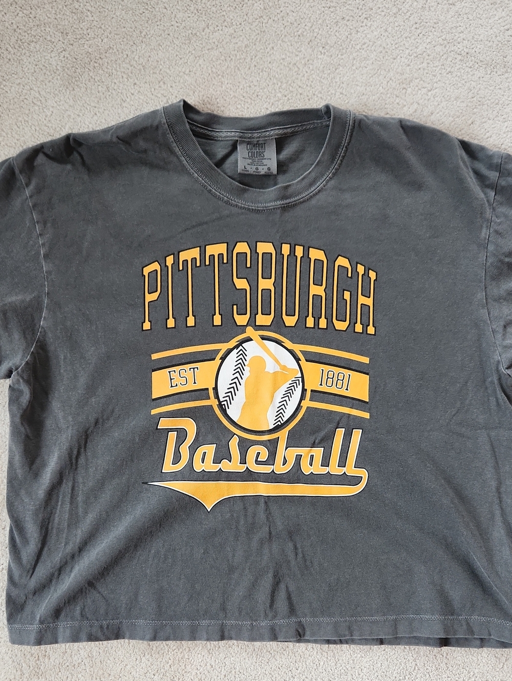 Pirates Baseball Cropped Vintage Baseball Shirt Faded Vintage Gray- Large